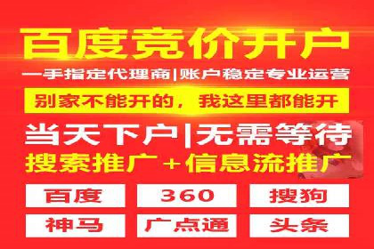 行业领先企业的信息流竞价策略揭秘